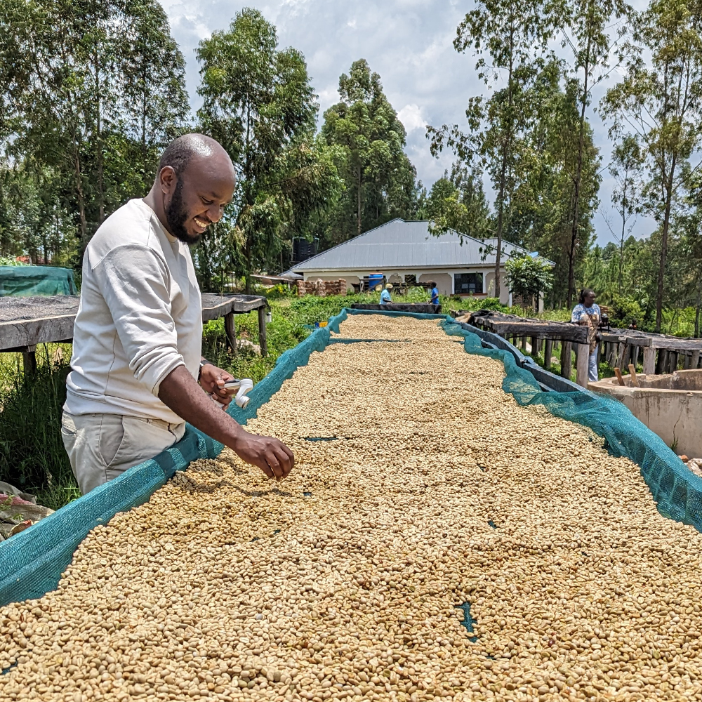 Coffee Cultura: Transformando el café en Kenia