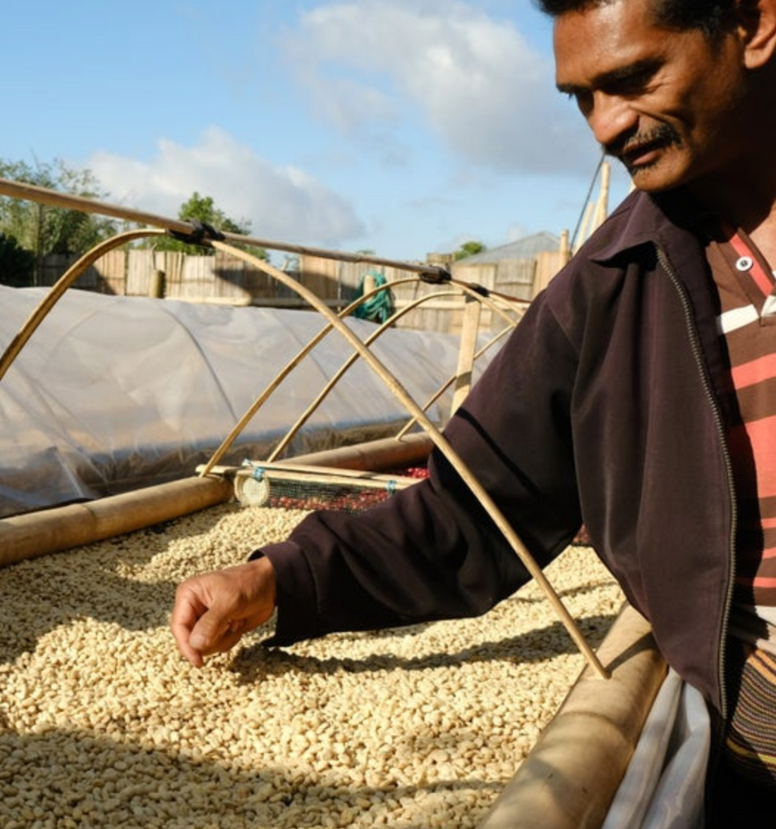 A World of Speciality Coffee: Asia (Part 4)