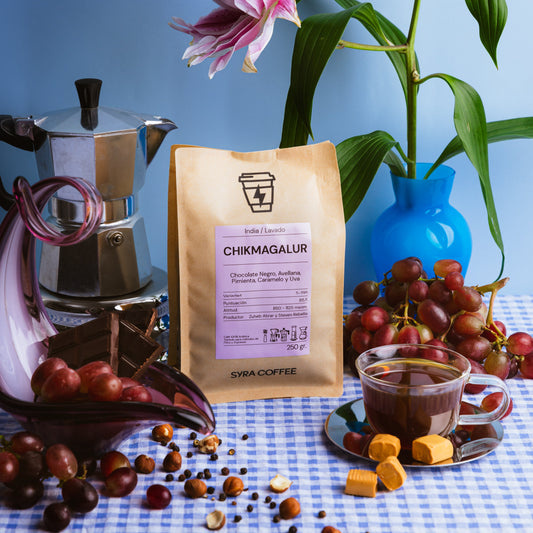 Chikmagalur: el café del bosque en el corazón de la India