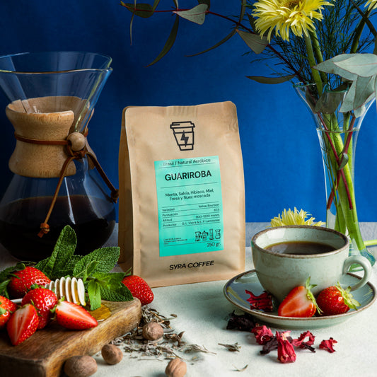 Guariroba: El Café Brasileño que Rompe Todos los Esquemas