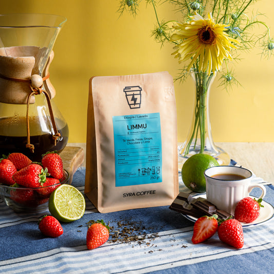 Limmu: tradición, altura y biodiversidad desde Jimma, Etiopía