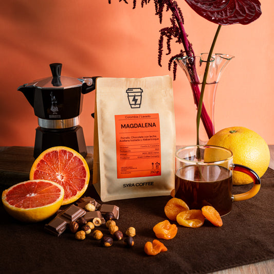 Descubre Magdalena: café Fairtrade desde Salgar, Antioquia