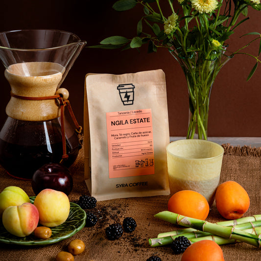 Ngila Estate: Un Café Tanzano con impacto social y ambiental