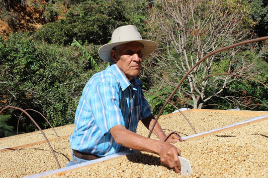Syra Lab x Grounds Coffee: Un proyecto de impacto directo con la finca Don Alexis