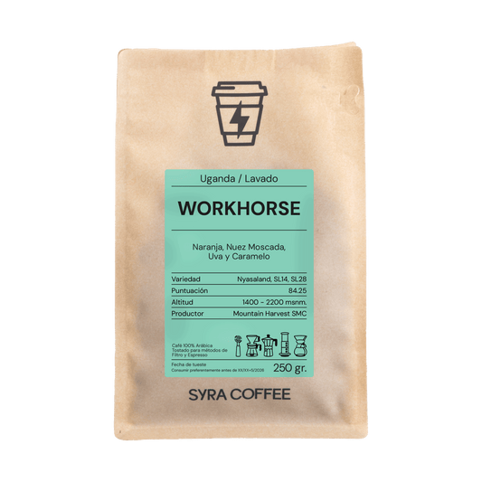 Workhorse