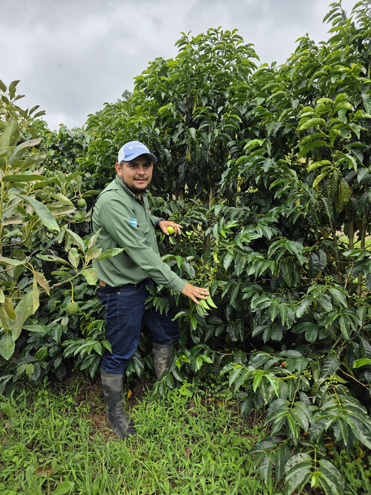 El Jardín