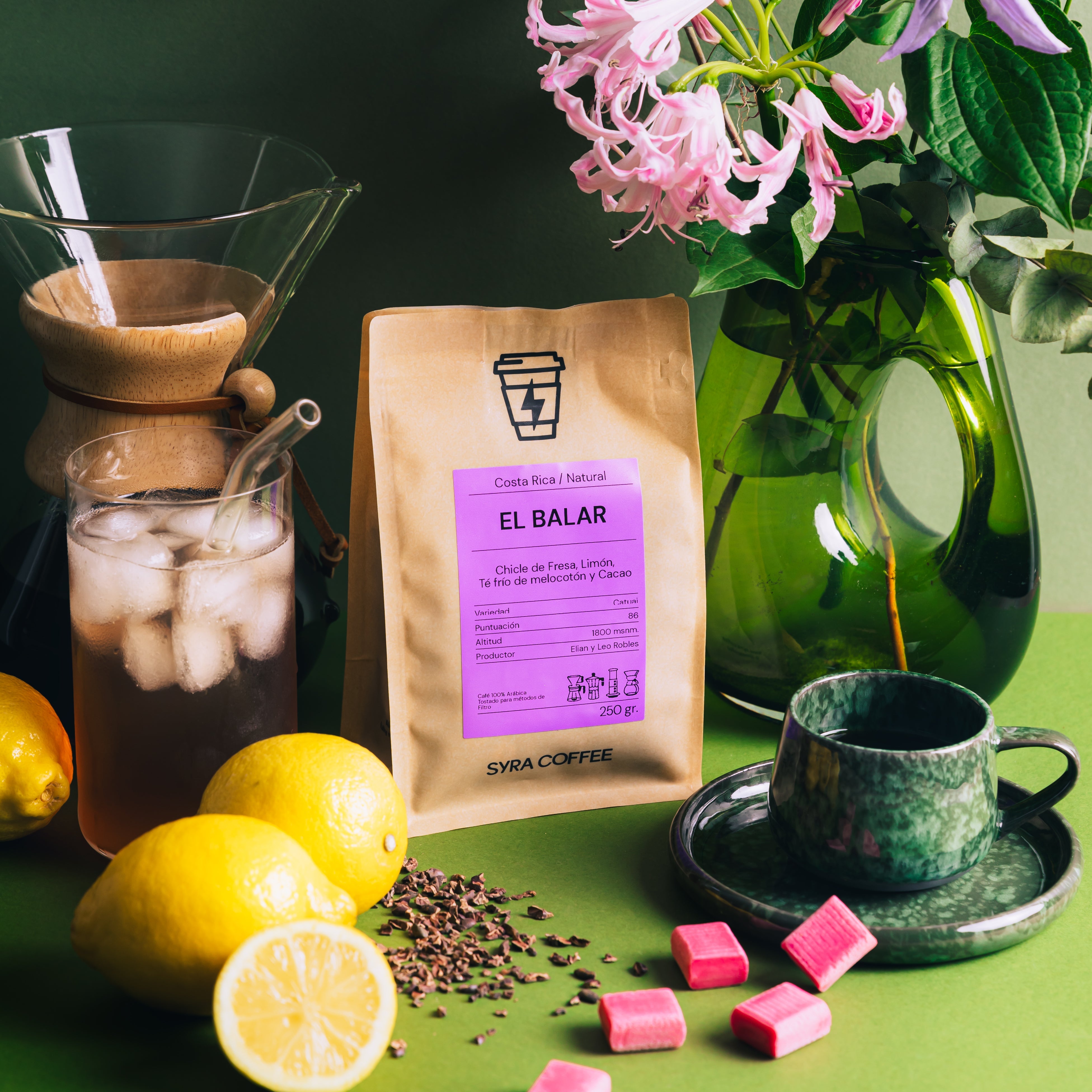 El Balar: Café de Especialidad en Tarrazú, Costa Rica