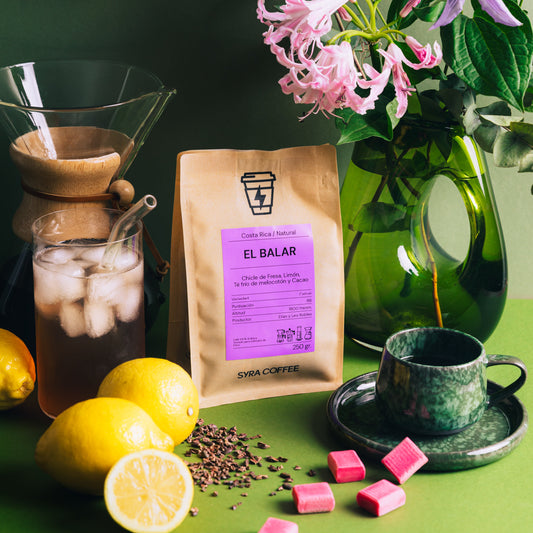 El Balar: Café de Especialidad en Tarrazú, Costa Rica