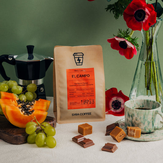 El Campo: café de especialidad de Cajamarca, Perú