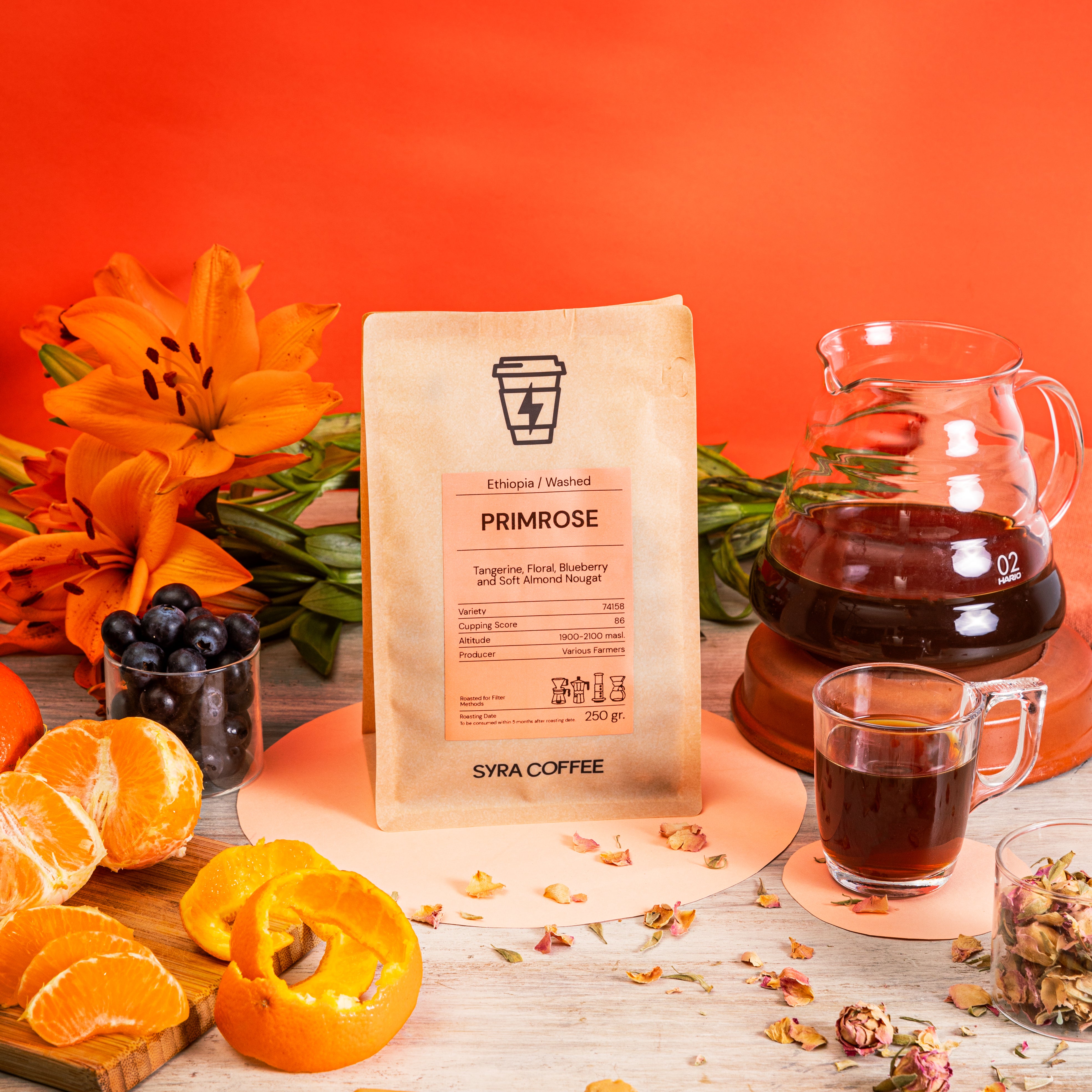 Primrose: Un café que encapsula la riqueza de las tierras etíopes.