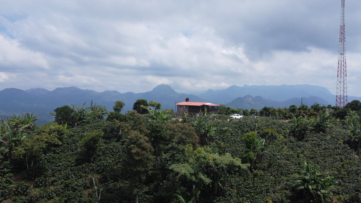 San Andrés