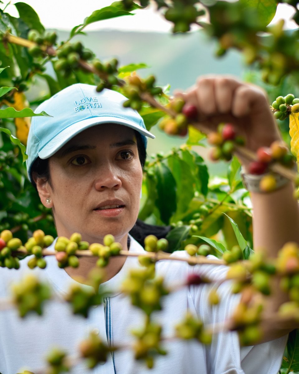 Huila Decaf