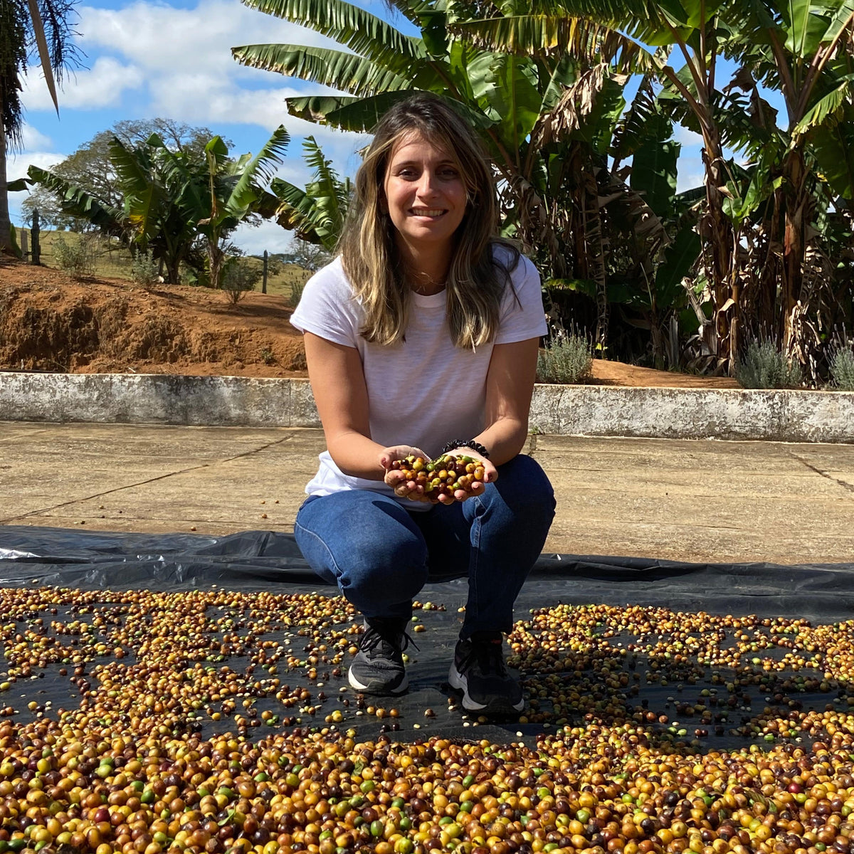 La Jaguara