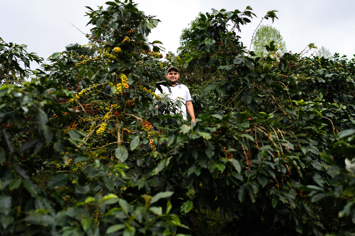 El Jardín