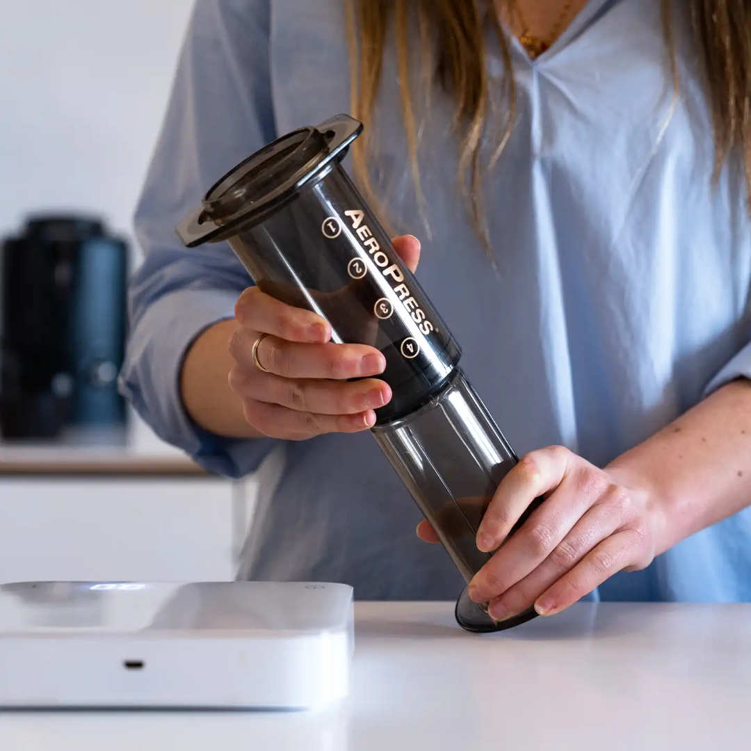 Pack Aeropress Fellow