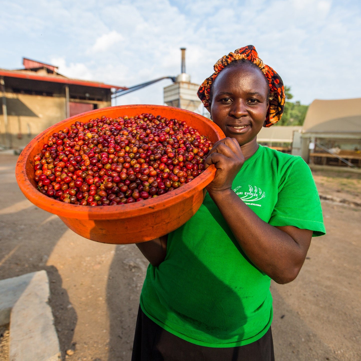 Bukonzo Ana.